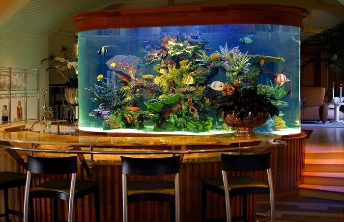 обслуживание аквариума в ресторане